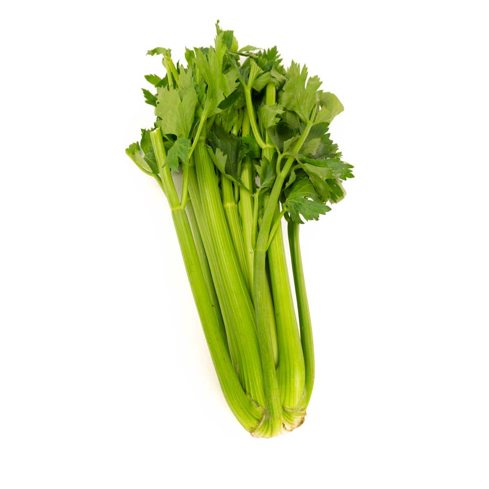 Céleri
