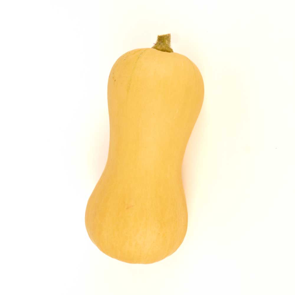 Courge d’hiver
