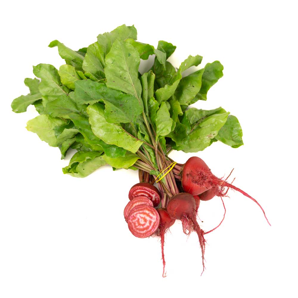 Betteraves chioggia